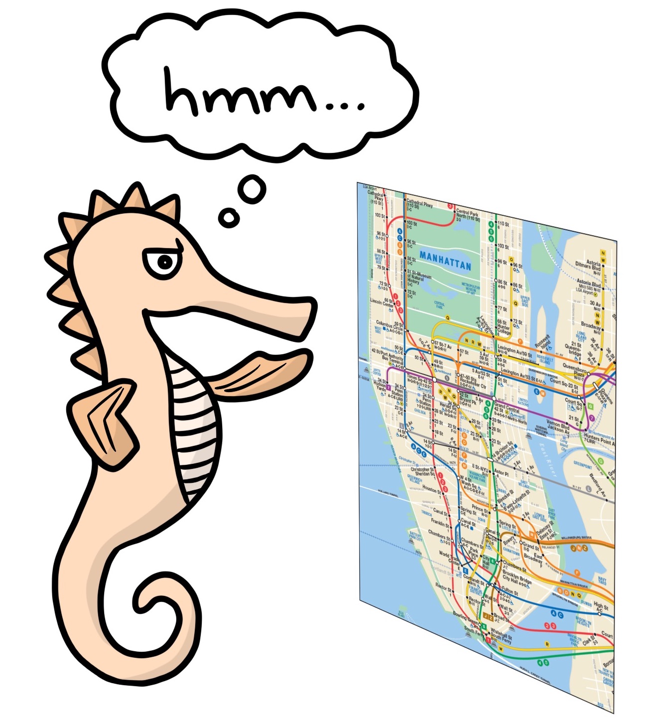 hippocampus seahorse subway