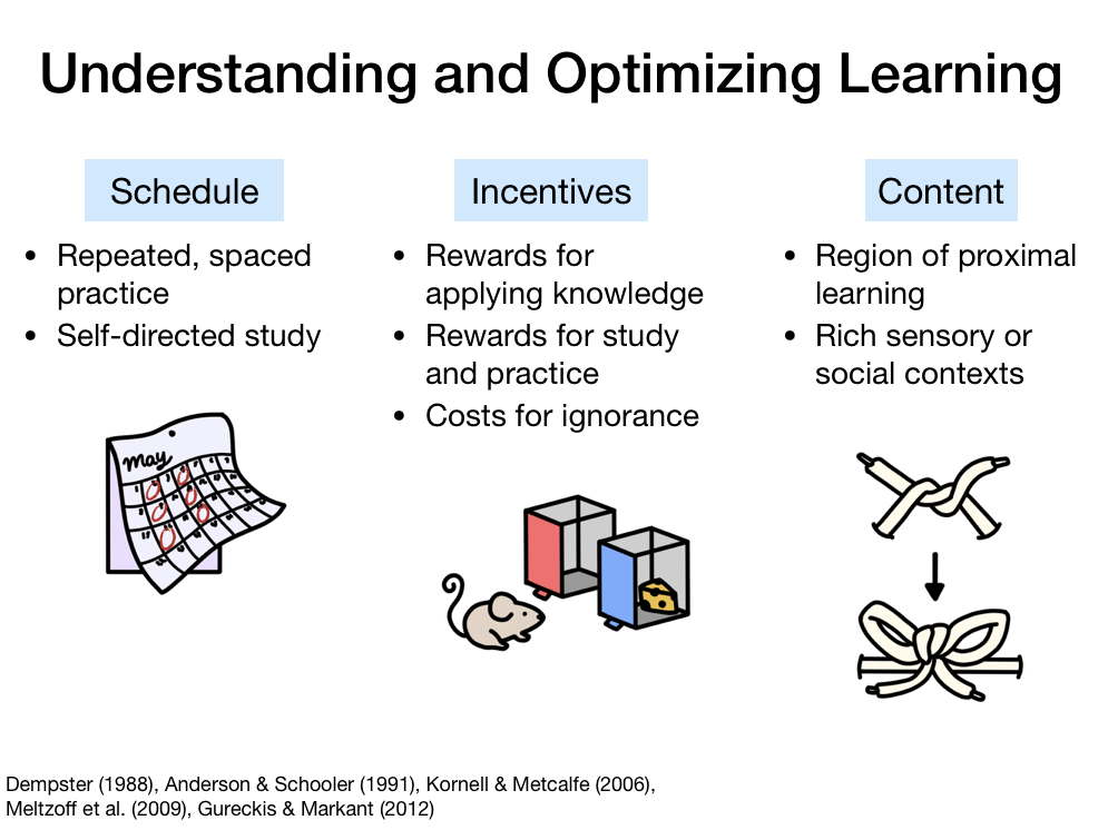 understanding and optimizing learning